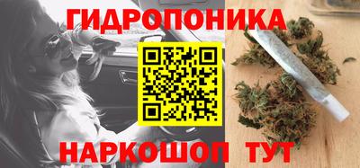 гашик Малоярославец