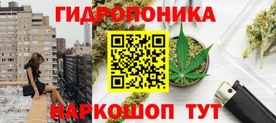 гашик Малоярославец