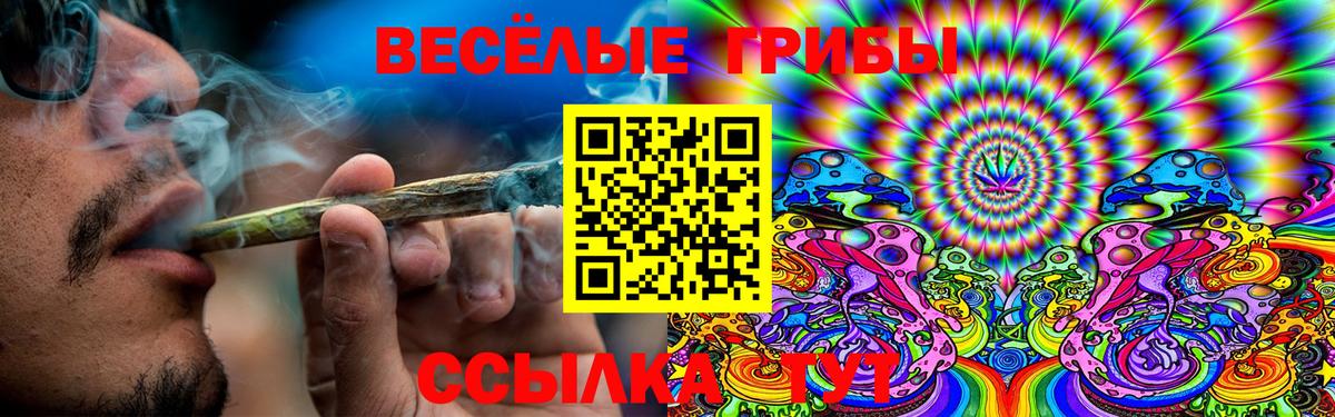 Псилоцибиновые грибы Psilocybe  Галлюциногенные грибы MAGIC MUSHROOMS  Уварово  Вход с VPN 