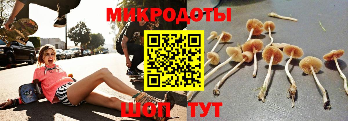 Галлюциногенные грибы Psilocybine cubensis Уварово
